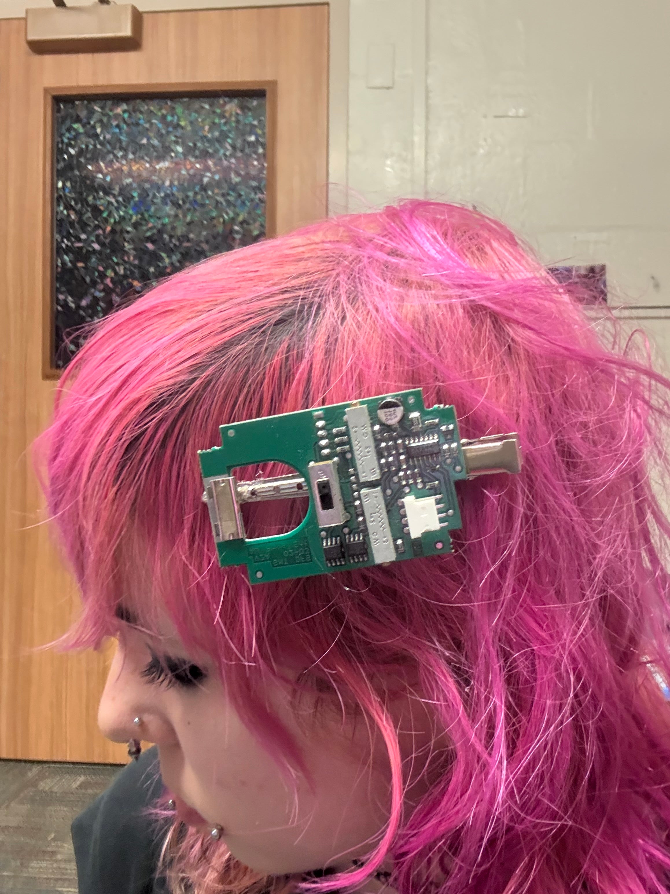 circuit board hair clips